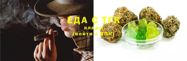 ECSTASY Алзамай