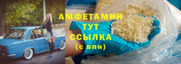 ECSTASY Алзамай